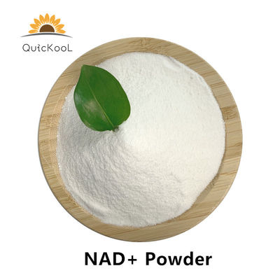 quality CAS 53-84-9 베타 NAD 파우더 NAD+ 니코티나마이드 아데닌 디뉴클레오티드 factory